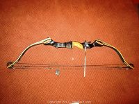 Full view of Martin Archery compound bow showing overall condition and design on orange carpet background.