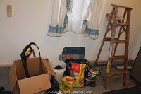 Overview of lot showing wooden step ladder, cardboard box with pressure washer and tools, gardening chemicals, white bucket, and watering can in a room.