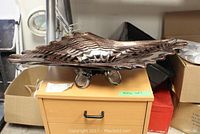 Side view of the large blown glass decorative bowl showing its wavy edge and metallic textured surface.