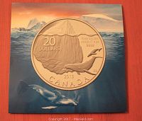 Front cover displaying the 2013 Canadian $20 silver coin featuring iceberg and whale design, showing the coin in the center with surrounding ocean and whale artwork.