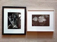 Two black and white floral photographs framed and displayed side by side on a textured surface.