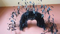 Full view of black feather headdress showing feather arrangement and silhouette