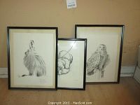Three framed animal art prints displayed on floor against wall, include rabbit, bear, owl