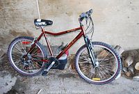 Full left-side view of maroon Raleigh Rocky Xtreme bicycle leaning against wall.