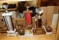 Photo showing three tall sports trophies with fan-shaped tops in silver and gold, along with smaller trophies on wooden bases, arranged on a wooden shelf.
