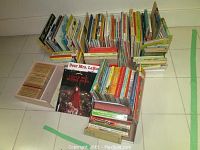 Wide view of the assorted children's books including boxed Beatrix Potter tales and other storybooks.