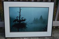 Framed print featuring great blue heron chicks in a nest with a misty forest background.