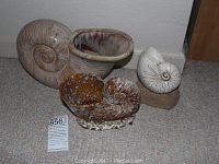 Photo showing three distinct ceramic seashell decor pieces on carpet: a large spiral vase with brownish glaze, a medium brown-speckled bowl shaped like shell, and a small white shell figurine on a rock base.