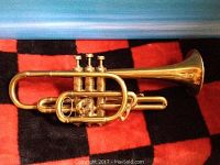 Side view of full brass cornet showing overall shape, three valves, tuning slides, and finger ring.