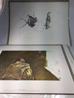 Photo shows portion of an Andrew Wyeth print featuring two small subjects resembling natural elements or sketches on a white background.