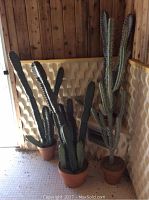 Three large artificial cacti standing in a corner with wood paneling and geometric wall covering behind, showing overall lot contents.