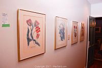 Four framed flower themed prints hanging on a wall, with visible frames and mats.