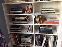 Books on art and artists across 8 shelves of a white bookcase, including thick, large hardcover art books and some paperbacks, arranged vertically and stacked horizontally.