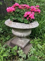 Photo of large cement garden urn filled with pink flowers, showing flared rim, textured surface, and square base surrounded by garden foliage.