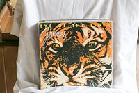 Front cover of Survivor's Eye of the Tiger vinyl record showing detailed tiger face artwork.