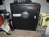 Front view of the black Sentry Safe with electronic keypad and handle showing the Sentry Safe logo.