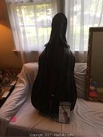 Celestial cello inside a black soft case with the instructional VHS in front, soft case placed on a white sofa near window, natural light.