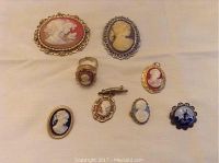 All 8 cameo jewelry pieces displayed on fabric background showing variety of cameo brooches, ring, and earring in varying metal frames and colors.