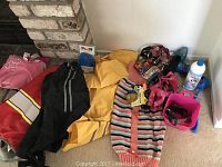 Overview of assorted dog jackets, sweaters, collars, rain boots, and cleaning product arranged on floor