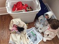 Seven antique porcelain dolls in various clothing and poses, showing condition and packaging in plastic bin and on floor