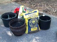 Black plastic plant containers, woven basket, artificial red flowers, Valley fertilizer bag on pavement surface