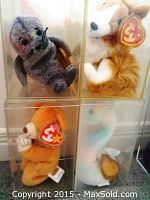 Four Beanie Babies in clear cases: gray seal, tan lion, orange monkey, white duck.