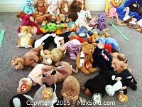 Overview of over thirty Beanie Babies plush toys arranged on carpet showing a variety of animal characters and colors with Ty tags visible