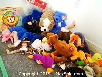 Full collection of assorted TY Beanie Babies and related stuffed animals arranged on the floor with membership kit visible.