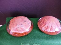 Pair of sand-colored glass paperweights with rounded dome shape and detailed shell designs inside glass.
