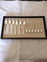 All twelve spoons arranged in tray