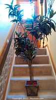 Artificial tree with multiple stems and green leaves in square planter on carpeted stairs.