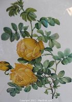 Close-up view of two yellow roses and green leaves from the engraving
