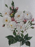 Close-up of rose engraving showing white and pink blossoms, buds, and foliage