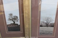 Close-up photo showing the two framed art pieces side by side, focusing on the tree images and matting details.