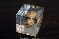 Acrylic cube display showing encased gold-tone ring