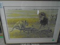 Full front view of framed wildlife print showing lions and grassy background