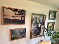 Wide view showing all five framed photographs arranged on a wall with a plant and furniture below.