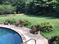 Wide view of multiple potted plants around the pool concrete edge on grass background showing greenery and flowering plants.