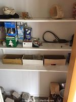 Shelving with various light bulbs in boxes, a Sylvania 250W box, Q-Lites globe bulbs box, some loose small bulbs, and light bulb sockets with cords.