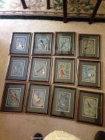All 12 framed bird paintings laid out on floor, showing full set.