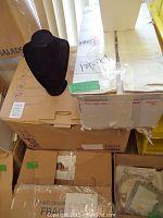 Box with jewelry bust on top showing the packaging of the items inside boxes.