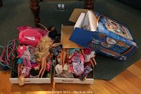 Two trays filled with multiple Barbie dolls in various clothes, doll furniture, and part of the rock tumbler box visible