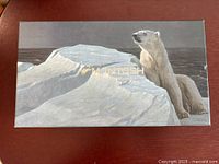 Top of presentation box showing polar bear artwork and McIntosh logo