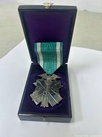 Open view of the medal inside the purple-lined black presentation box showing the front of the medal with green and white ribbon.