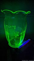 Clear Vaseline glass vase with an etched cornflower flower and stem pattern, shown glowing bright green under UV light in two photos.