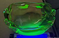 Top-down view under UV light showing bright green fluorescence and organic shape