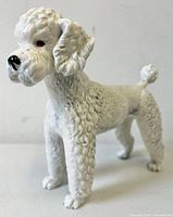Front side view of vintage white porcelain poodle figurine, showing detailed face and texture.