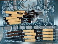 Flatware set with cream-colored handles laid out on blue satin lining showing knives and forks.