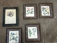 All five framed prints arranged on floor