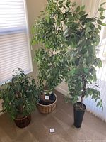 Three faux trees arranged in a corner near windows, showing varying sizes and leaf density